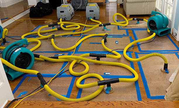 Professional Water Extraction technician working in Preston, WA